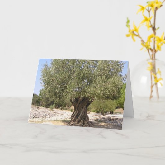 Israëlische olijventeelt kaart (Gele Bloem)