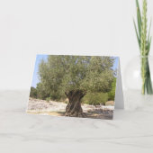 Israëlische olijventeelt kaart (Voorkant)