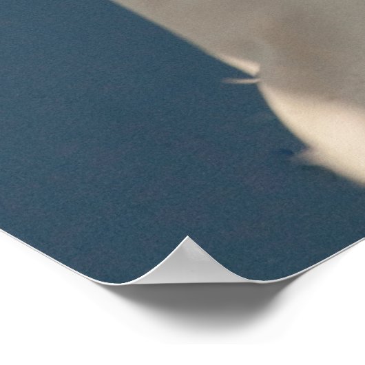 Israëlische vlag poster (Hoek)