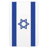 Israëlische vlag, ster van David Judaism Jewish Magneet (Verticaal)