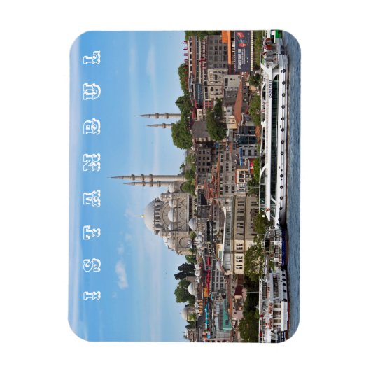 Istanboel. Cityscape. Magneet (Verticaal)