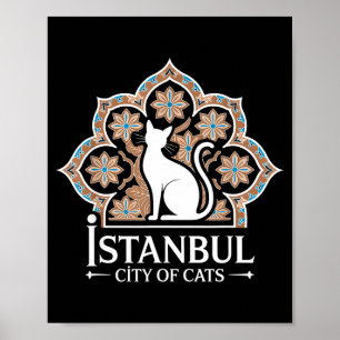 Istanbul Stad Van Katten Turks Erfgoed Hagia Sophi Poster