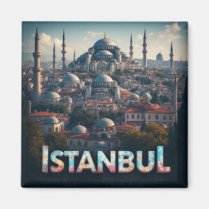 Istanbul Turkije Reis Landmark Illustratie Magneet