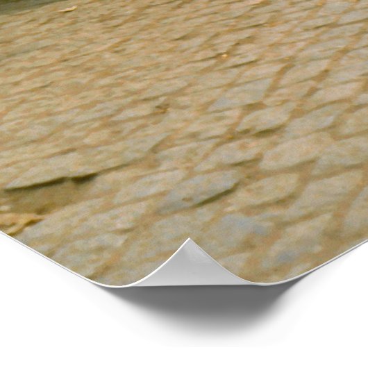 Istanbul, Turkse koffieverkoper Poster (Hoek)