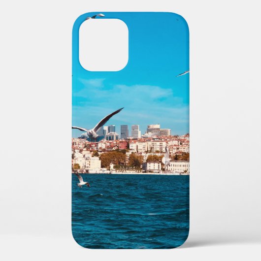Istanbul view with seagulls on a warm sunny day, B Case-Mate iPhone Case (Achterkant)