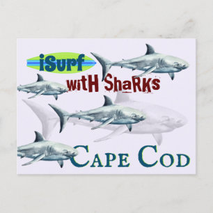 iSurf met haaien Cape Cod, MA Surfing Shark Briefkaart