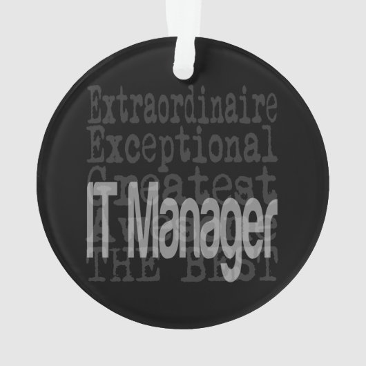 IT Manager Extraordinaire Ornament (achterkant)