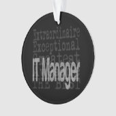 IT Manager Extraordinaire Ornament (voorkant)