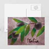 Italia Olives Briefkaart (Voorkant / Achterkant)