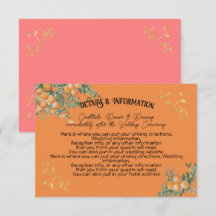 Italiaans Amalfi Kust Sinaasappels Detail Info Kaa