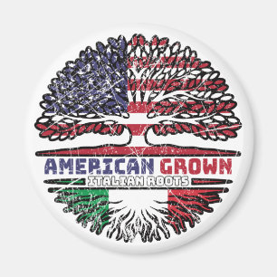 Italiaans - Amerikaanse Amerikaanse Amerikaanse Am Magneet