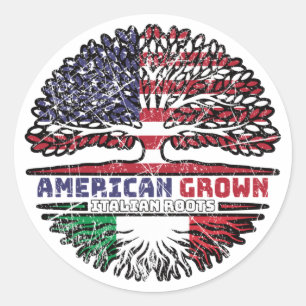 Italiaans - Amerikaanse Amerikaanse Amerikaanse Am Ronde Sticker