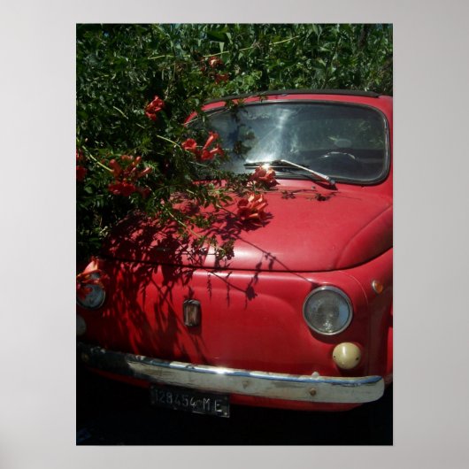 Italiaans Automobiel Poster (Voorkant)