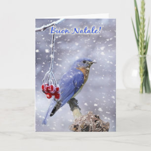 Italiaans - Blue Bird Christmas Wenskaart Feestdagen Kaart