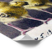 Italiaans  Briefkaart Pasen vanaf 1906 Poster (Hoek)