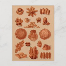 Italiaans Broden  bakkers illustratieschema Briefkaart