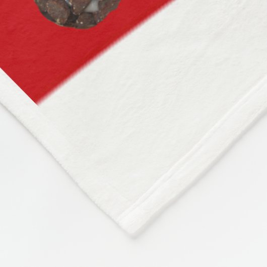 Italiaans Cannoli dessert Fleece Deken (Hoek)