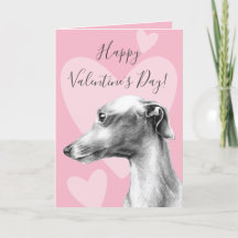 Italiaans Goudhond Roze Valentijnsdag