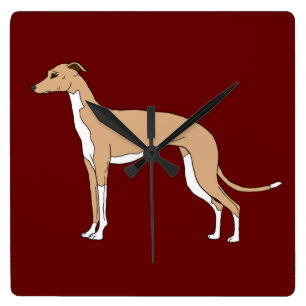 Italiaans Greyhound - Blauw flauw Vierkante Klok
