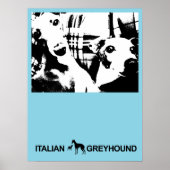 Italiaans Greyhound Blue Poster (Voorkant)
