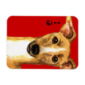 Italiaans Greyhound Color Block Magneet (Horizontaal)