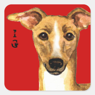 Italiaans Greyhound Color Block Vierkante Sticker