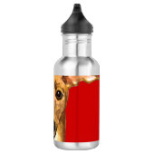 Italiaans Greyhound Color Block Waterfles (Rechts)