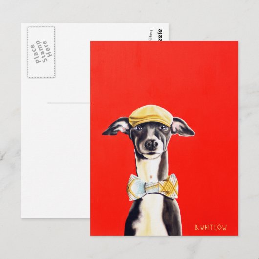 Italiaans Greyhound Dog Briefkaart - Harry (Voorkant / Achterkant)
