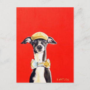 Italiaans Greyhound Dog Briefkaart - Harry