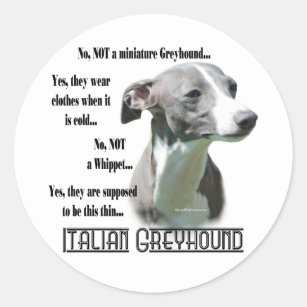 Italiaans Greyhound FAQ Sticker