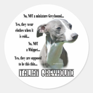 Italiaans Greyhound FAQ Sticker
