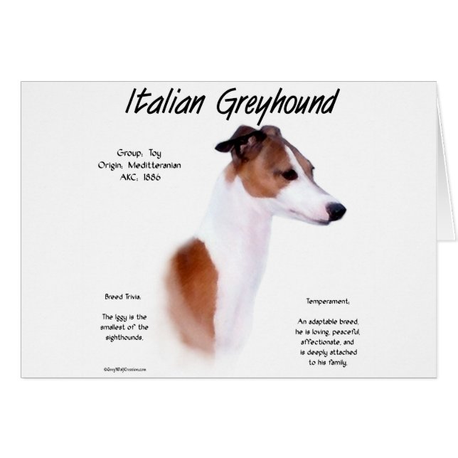 Italiaans Greyhound Geschiedenis Ontwerp (Voorkant Horizontaal)