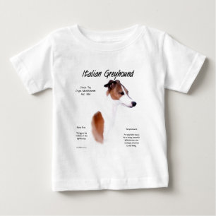 Italiaans Greyhound Geschiedenis Ontwerp