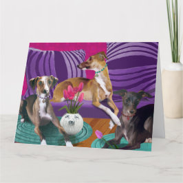 Italiaans Greyhound hondenportret, kleurrijke huis Kaart