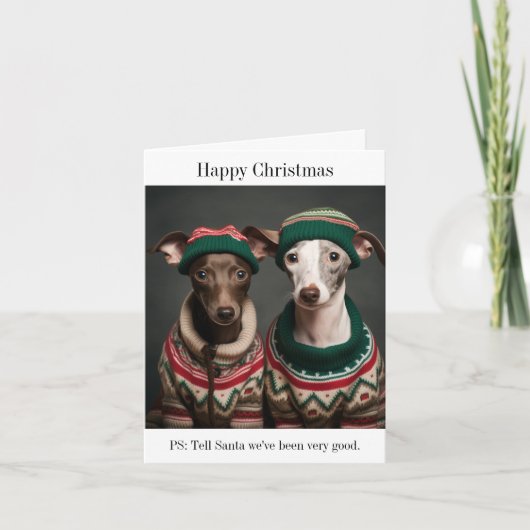 Italiaans Greyhound Puppies Kerstmis Kaart (Voorkant)