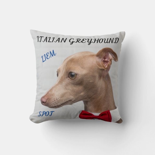 ITALIAANS GREYHOUND SIERKUSSEN MET NAMEN/BERICHT. (Voorkant)