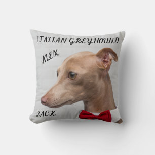 ITALIAANS GREYHOUND SIERKUSSEN MET NAMEN/BERICHT.