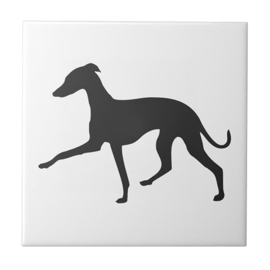 Italiaans Greyhound Silhouette Tegeltje (Voorkant)