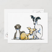 Italiaans Greyhound Trio Briefkaart (Voorkant / Achterkant)