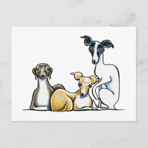 Italiaans Greyhound Trio Briefkaart
