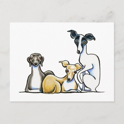 Italiaans Greyhound Trio Briefkaart (Voorkant)