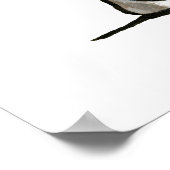 Italiaans Greyhound Trio Poster (Hoek)