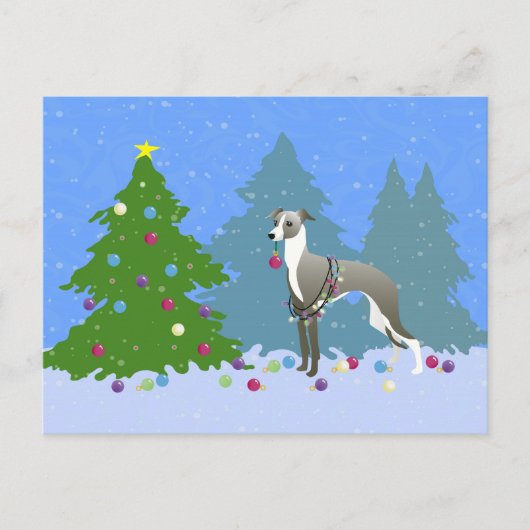 Italiaans Greyhound Whippet die kerstmis decorteer Feestdagenkaart (Voorkant)