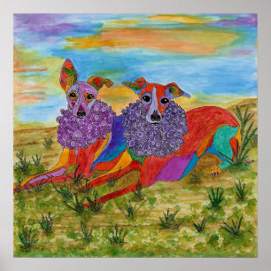 Italiaans Greyhounds Poster 19 x 13 inch ()