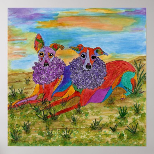 Italiaans Greyhounds Poster 19 x 13 inch () (Voorkant)