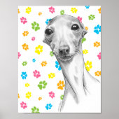 Italiaans Grieks hond Cute Funny Sketch Portret Poster (Voorkant)