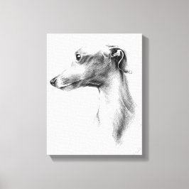 Italiaans Grieks-witte whippet portret tekenkunst Canvas Afdruk