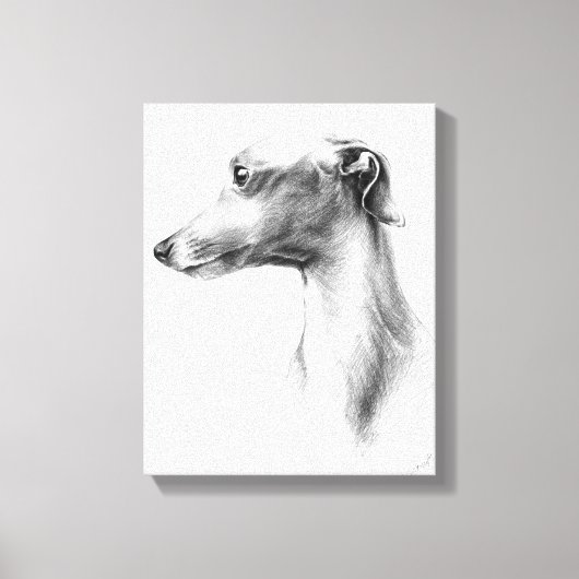 Italiaans Grieks-witte whippet portret tekenkunst Canvas Afdruk (Voorkant)