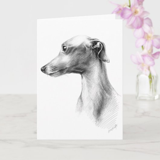 Italiaans Grieks-witte whippet portret tekenkunst Kaart (Orchidee)
