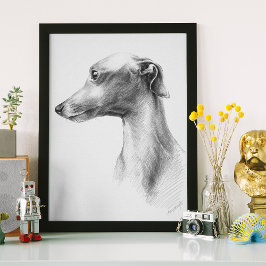 Italiaans Grieks-witte whippet portret tekenkunst Poster